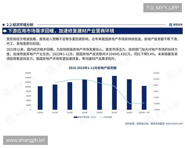 2024年CMD368平台最新全面攻略与未来发展趋势
